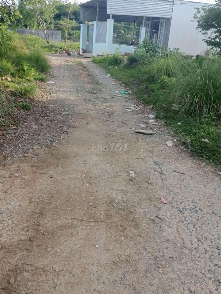 cần tiền chữa bệnh cần bán gấp đất