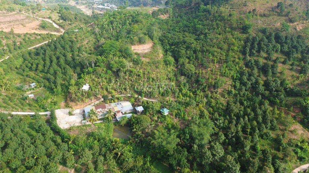 Bán đất nghỉ dưỡng view đẹp tại Khánh Hòa - Hoa hồng cho môi giới: 2%