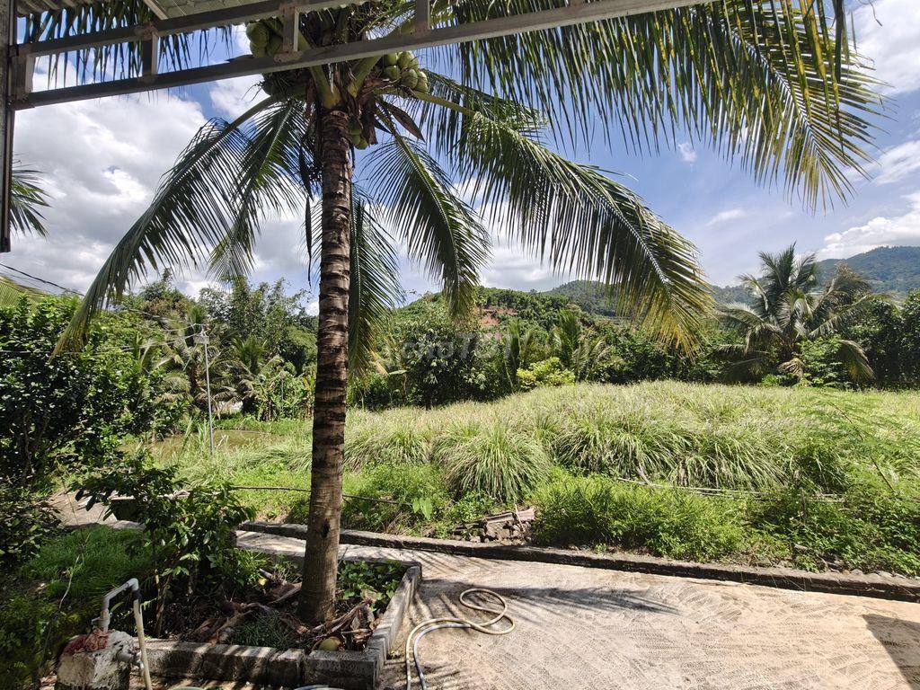 Bán đất nghỉ dưỡng view đẹp tại Khánh Hòa - Hoa hồng cho môi giới: 2%