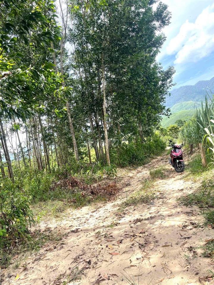 ĐẤT GIÁP SÔNG MÁU SIÊU RẺ