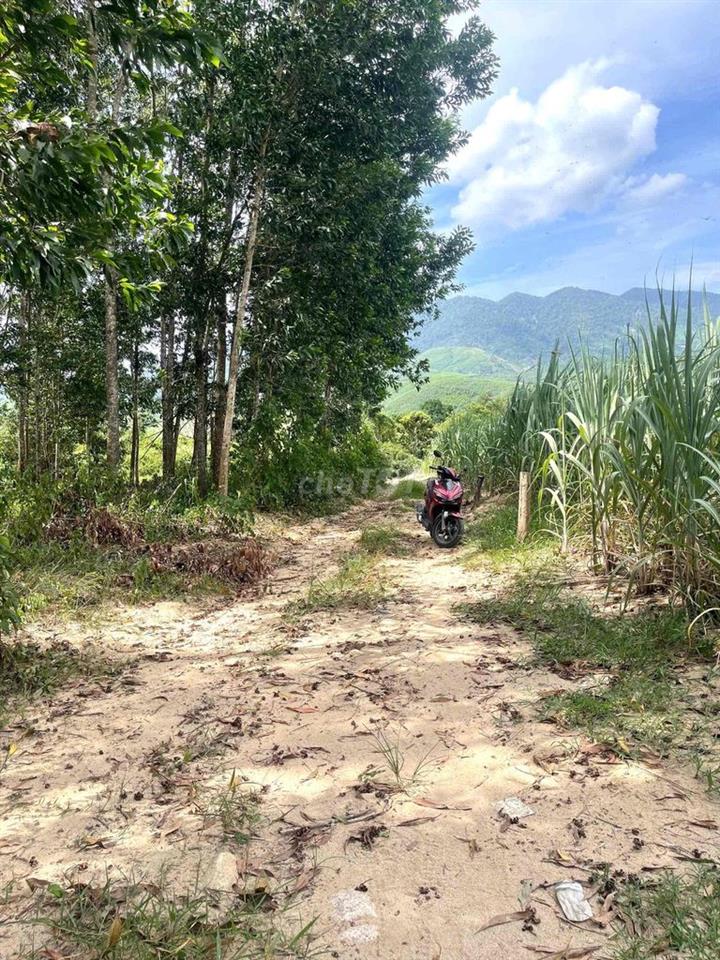 ĐẤT GIÁP SÔNG MÁU SIÊU RẺ