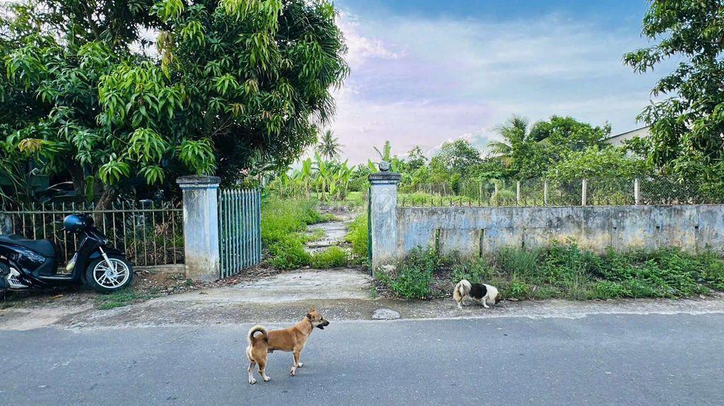 Bán đất thổ cư tại Suối Dầu, Khánh Hòa.