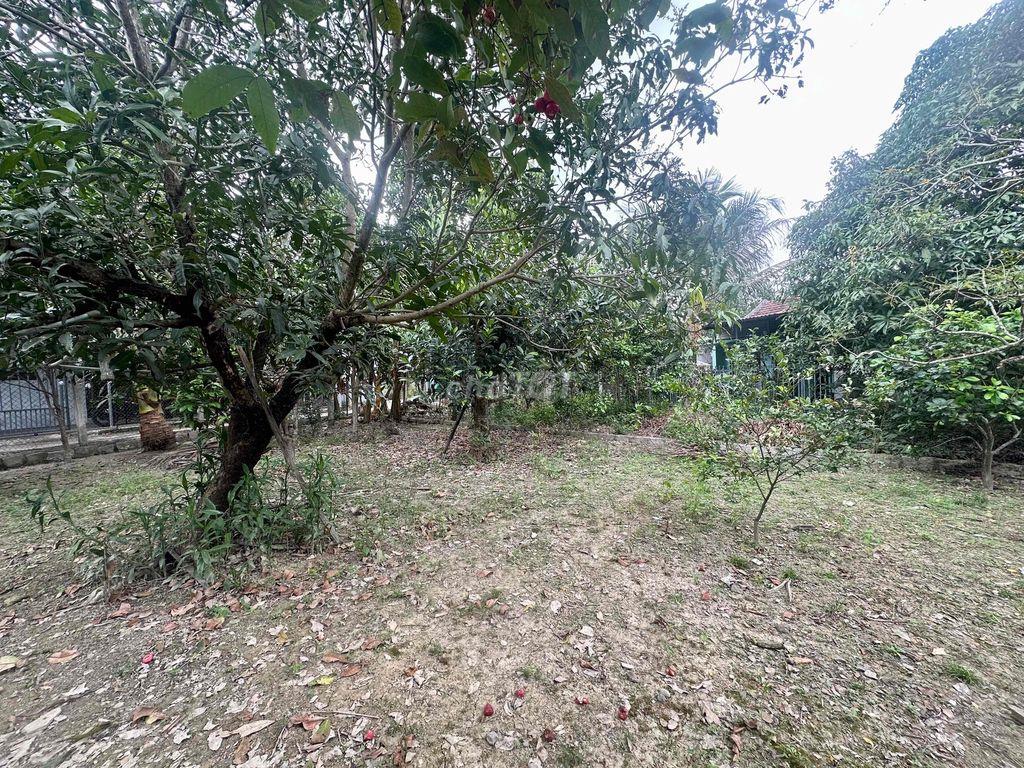 Đất Quang Thạnh 110,5m², ngang 6m, gần đường mở rộng 20m – Giá 1,15 tỷ