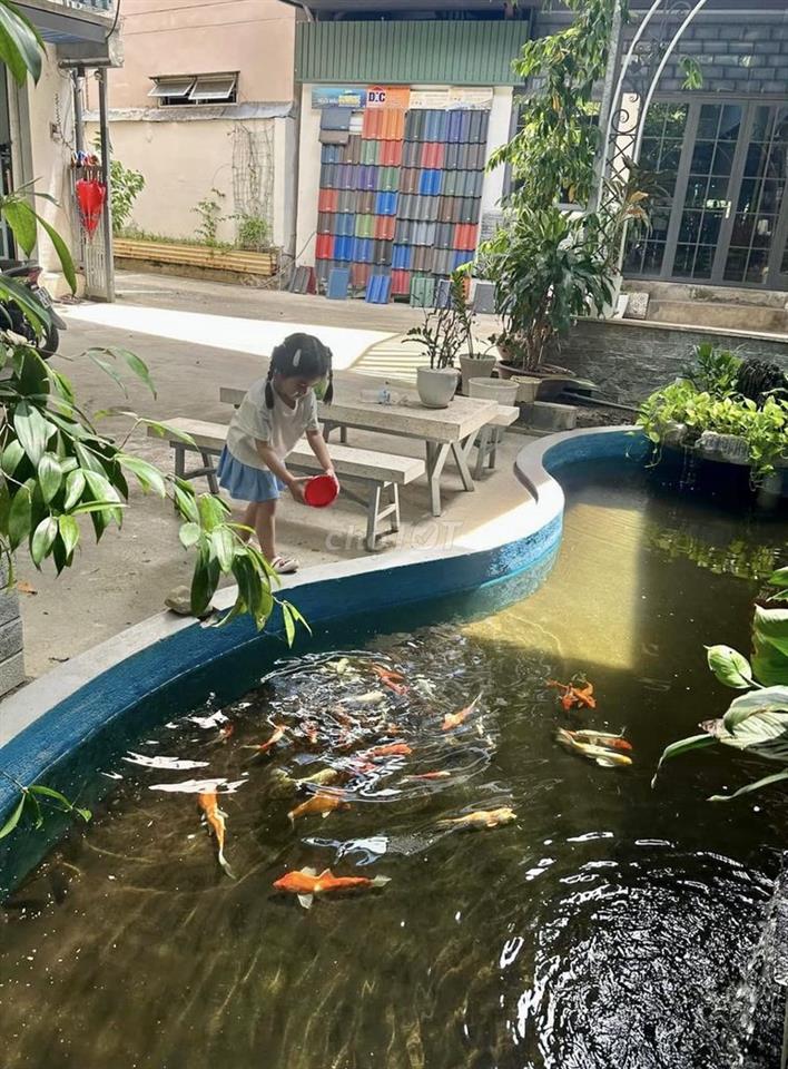 Bán đất