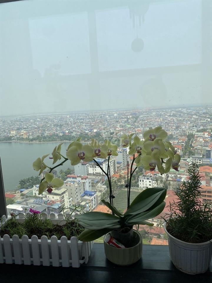 Cho thuê chung cư DOJI DIAMOND 