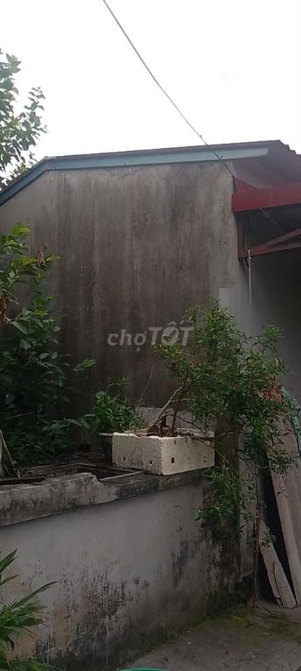 Bán đất có nhà c4 tại tân dân, an lão