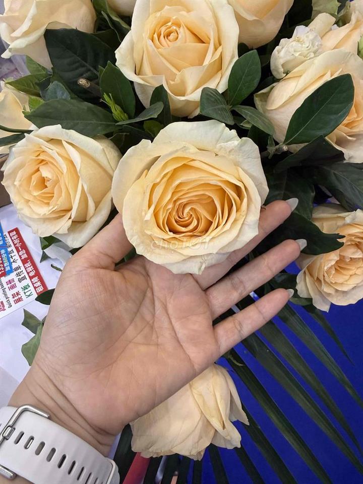 đất