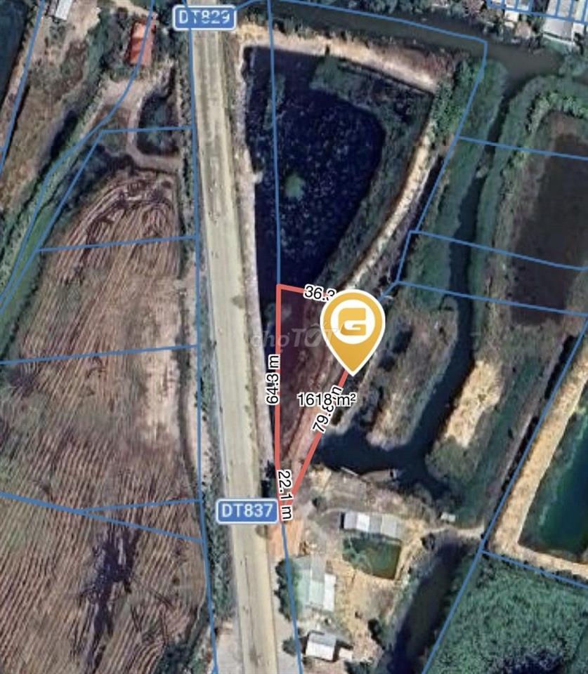 Bán Đất 8000m2 giá 16.5 tỷ tại Đường Tỉnh 837 ,xã Tân Thạnh,, Tây Ninh