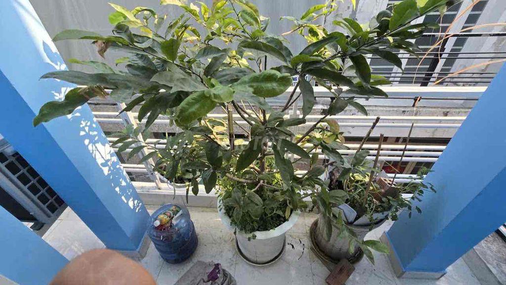 Nhà giá rẻ 570 triệu thương lượng chính chủ