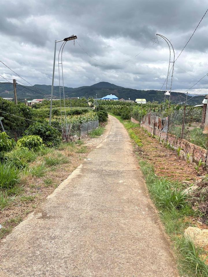 LÂM ĐỒNG 250m có 100 thổ cư