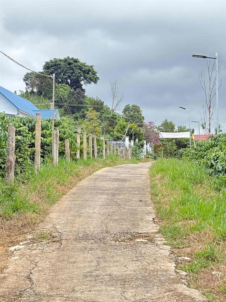 LÂM ĐỒNG 250m có 100 thổ cư