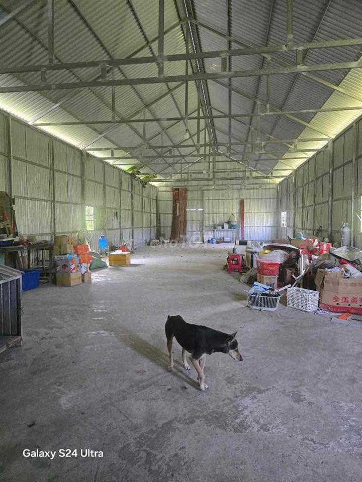 nhà cấp 4 và nhà xưỡng