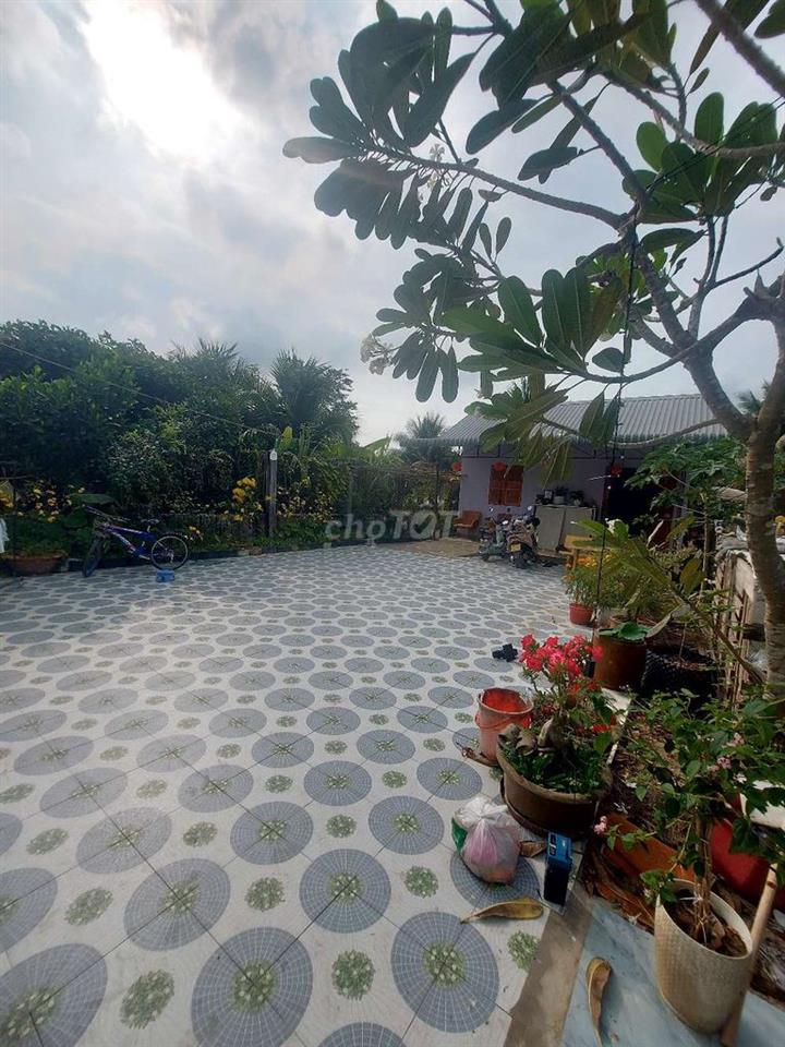 bán nhà vườn Thủ Thừa Long An cũ