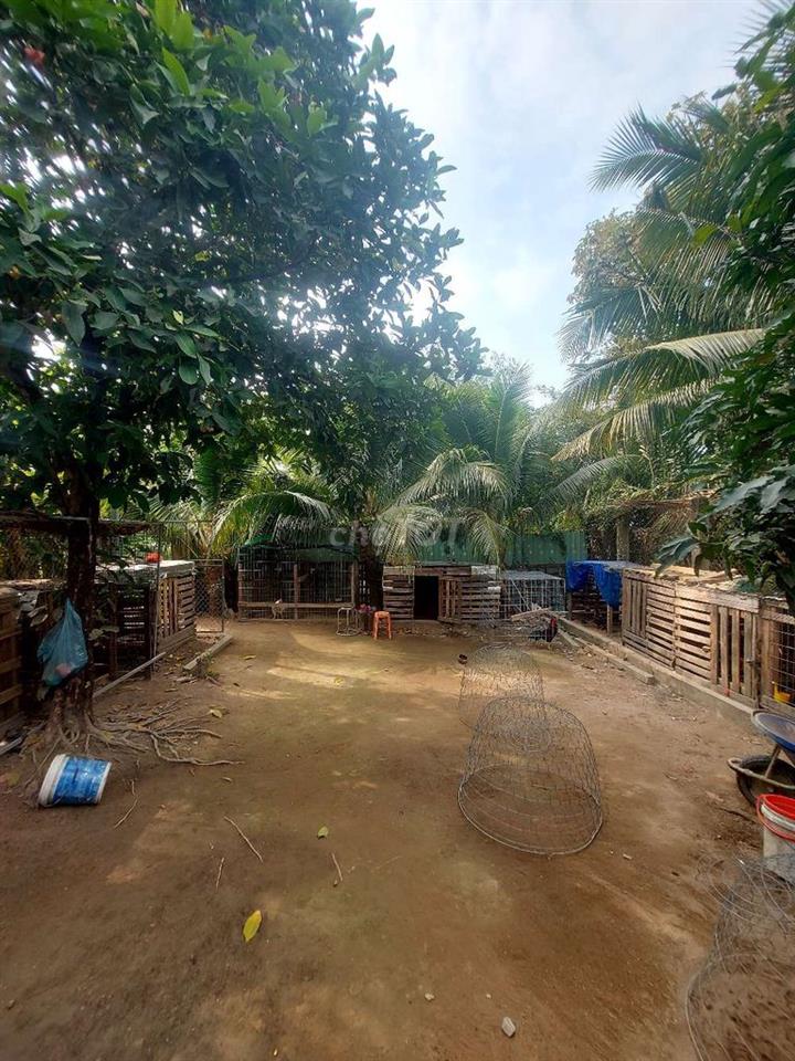 bán nhà vườn Thủ Thừa Long An cũ