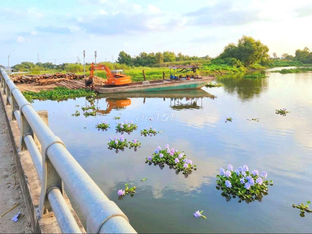 Nhà vườn 1000m² đất thổ View Sông cực đẹp, 3.9 tỷ
