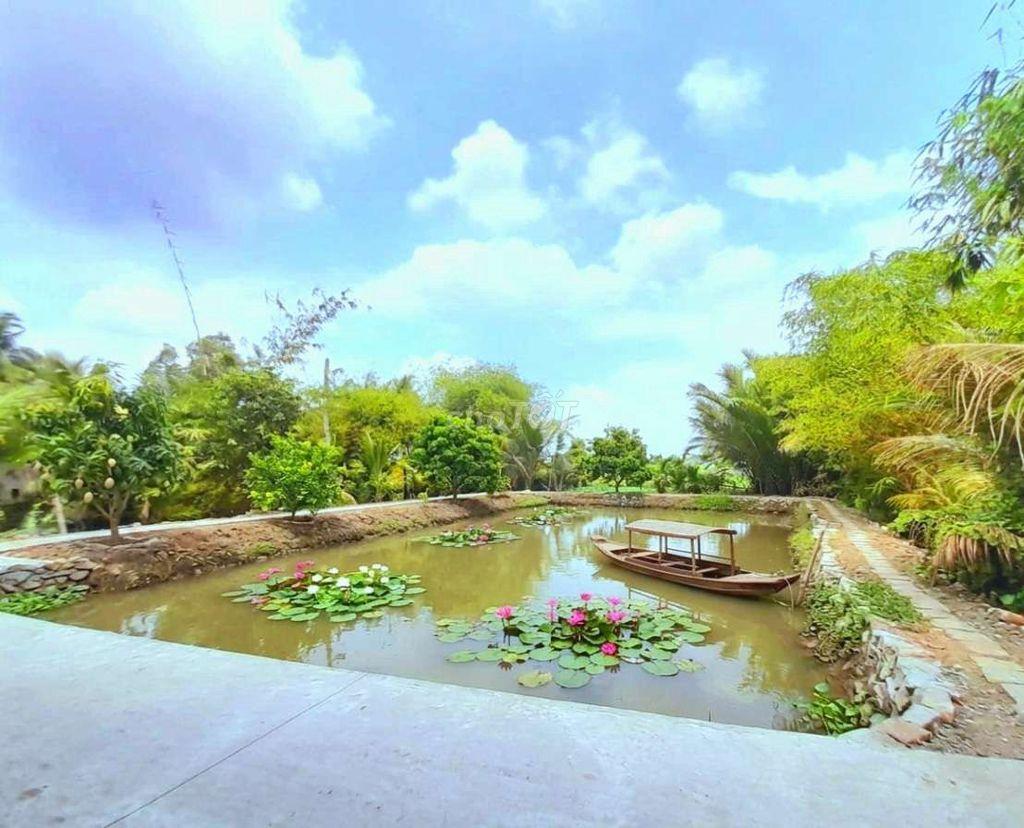 Nhà vườn 1000m² đất thổ View Sông cực đẹp, 3.9 tỷ