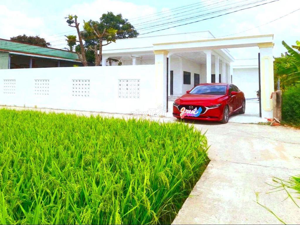 Nhà vườn 1000m² đất thổ View Sông cực đẹp, 3.9 tỷ