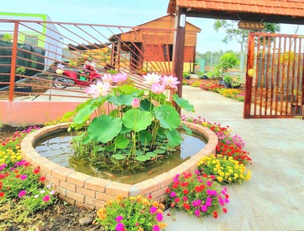 nhà vườn 1000m² đất view kênh cực đẹp chỉ 1.2 tỷ