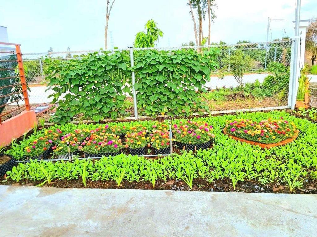 nhà vườn 1000m² đất view kênh cực đẹp chỉ 1.2 tỷ