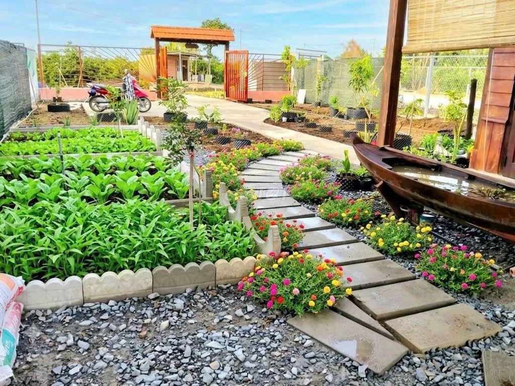 nhà vườn 1000m² đất view kênh cực đẹp chỉ 1.2 tỷ
