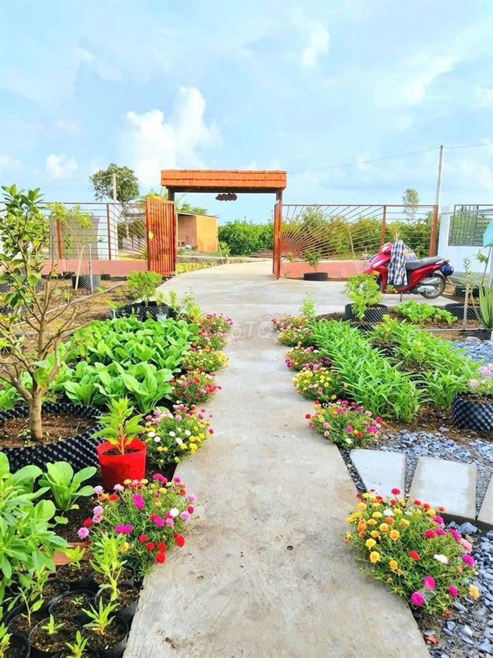 nhà vườn 1000m² đất view kênh cực đẹp chỉ 1.2 tỷ