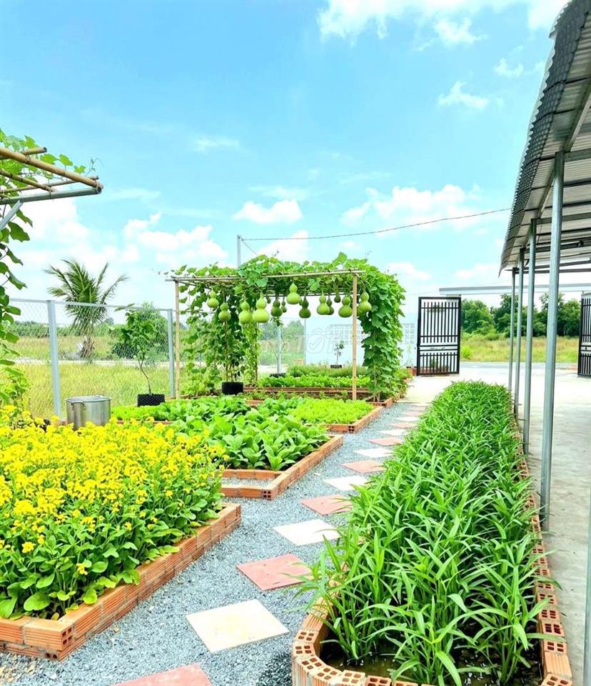 Nhà vườn View kênh cực đẹp, 1000m2 đất giá chỉ 1.39 tỷ