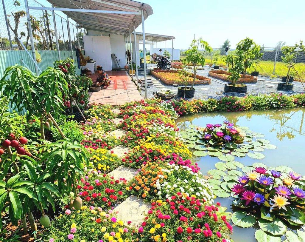 Nhà vườn View kênh cực đẹp, 1000m2 đất giá chỉ 1.39 tỷ