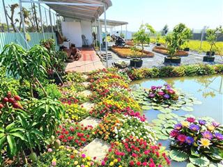 Nhà vườn View kênh cực đẹp, 1000m2 đất giá chỉ 1.39 tỷ