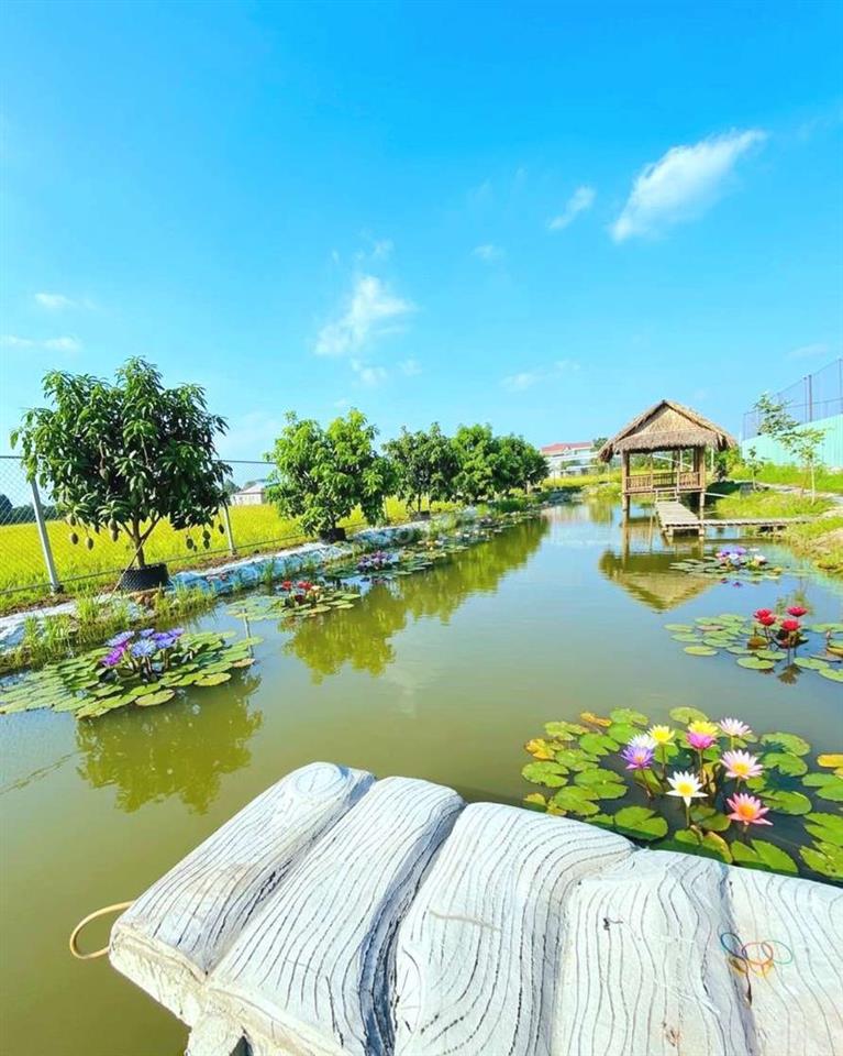 Nhà vườn View kênh cực đẹp, 1000m2 đất giá chỉ 1.39 tỷ