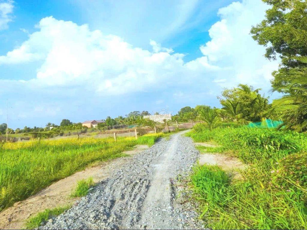 Hàng Thơm, chỉ 550 tr sở hữu 412m2 đất có thổ View Kênh