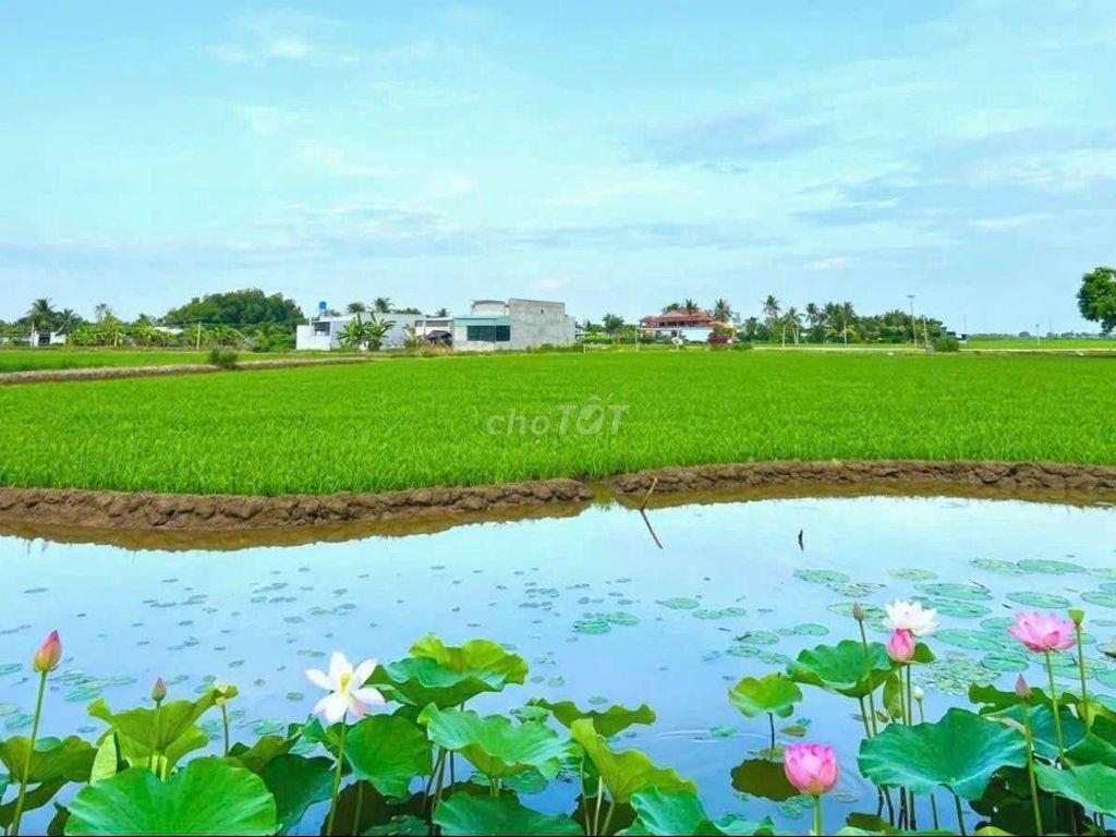 Hàng Thơm, chỉ 550 tr sở hữu 412m2 đất có thổ View Kênh