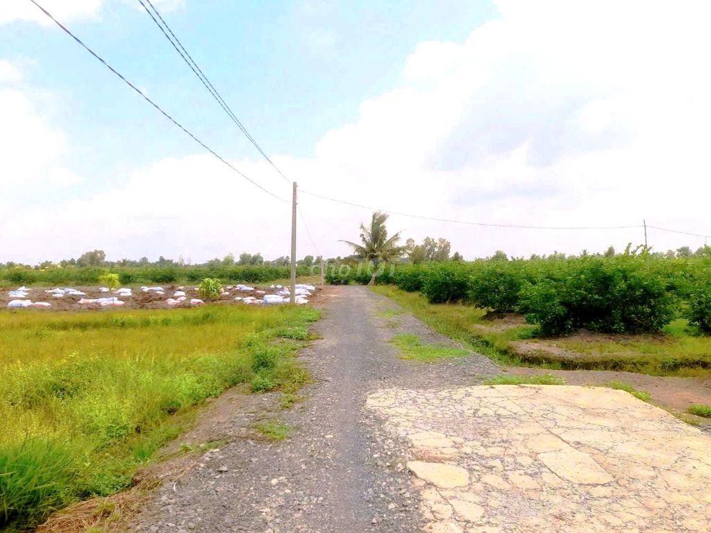 535m2 đất vườn 10x 53m đường ô tô cực đẹp, 400tr