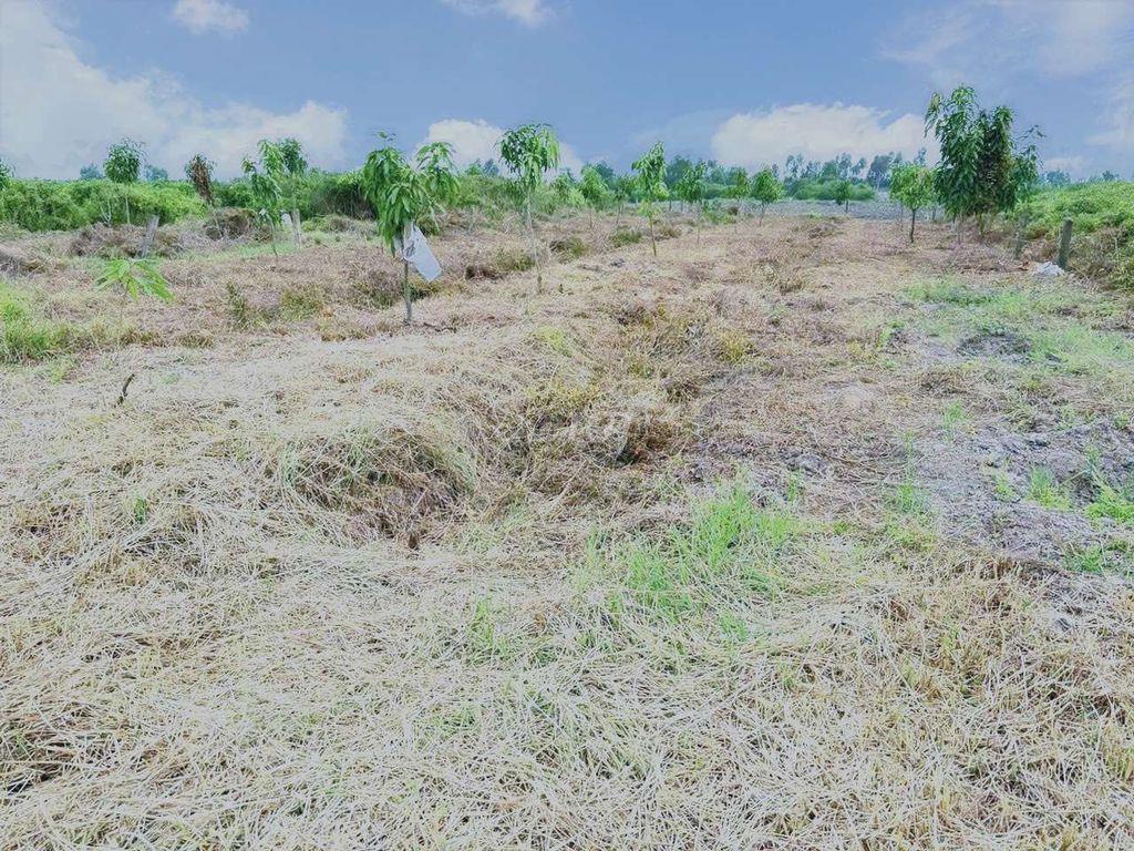 chỉ 259tr sở hữu 500m² đất vườn view kênh