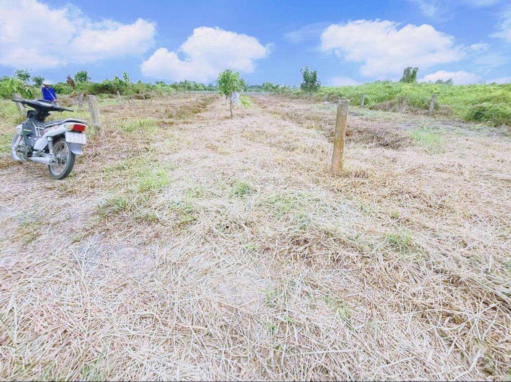 chỉ 259tr sở hữu 500m² đất vườn view kênh