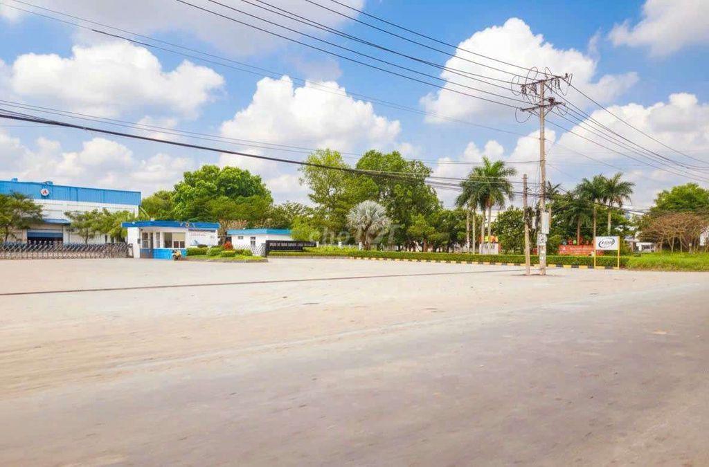 Hàng Vip, 135m² đất thổ đường nhựa Đăng Mỹ, 1.1 tỷ
