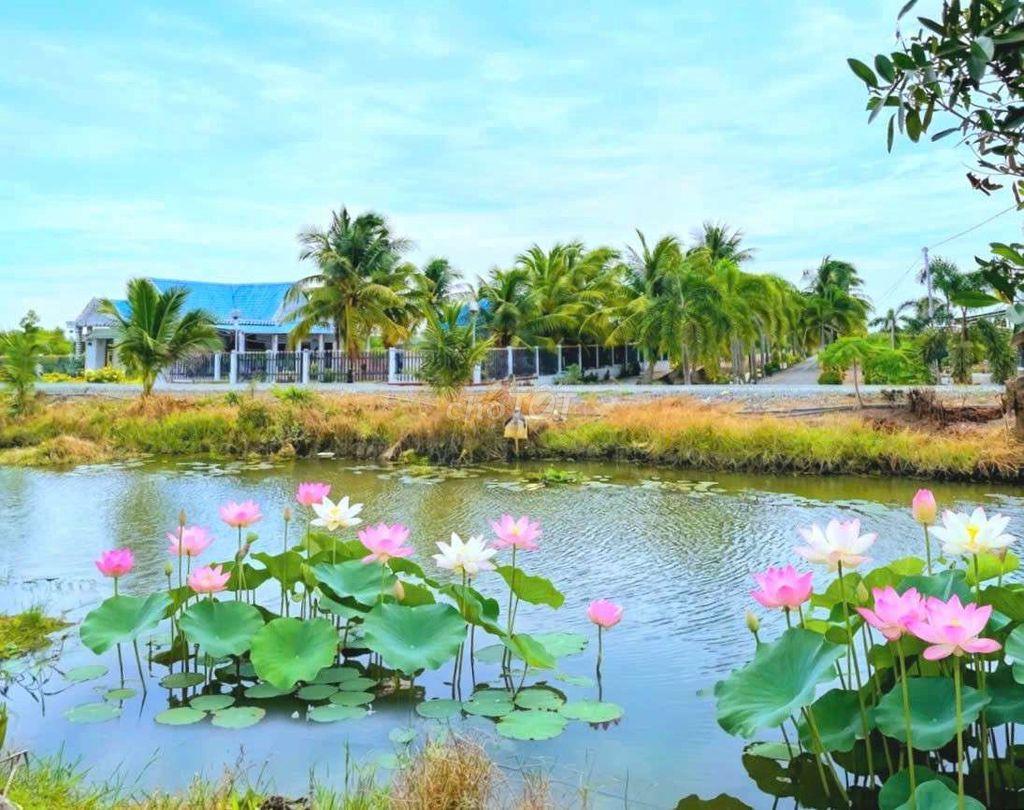 Hàng thơm, chỉ 339tr sở hữu 500m² đất vườn view kênh