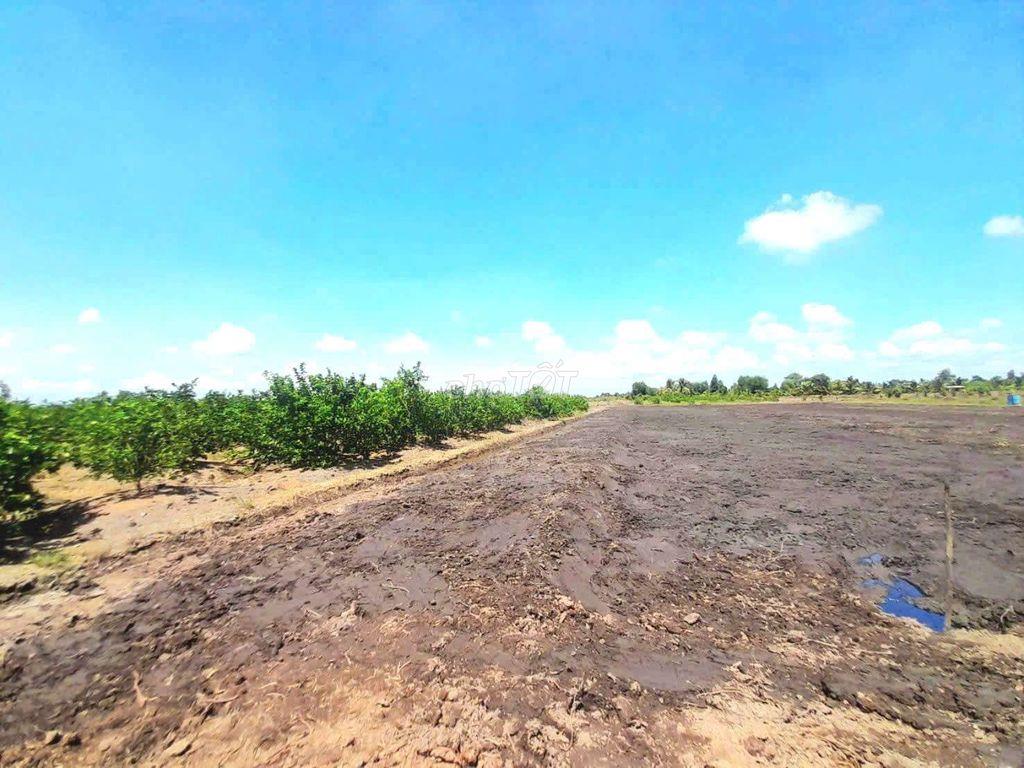 Hàng thơm, chỉ 339tr sở hữu 500m² đất vườn view kênh