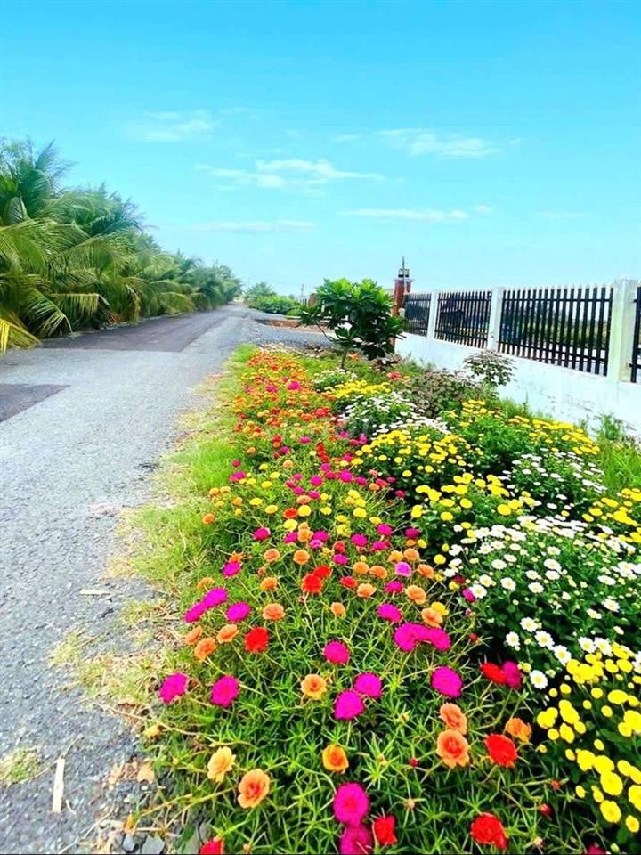 Hàng thơm, chỉ 339tr sở hữu 500m² đất vườn view kênh
