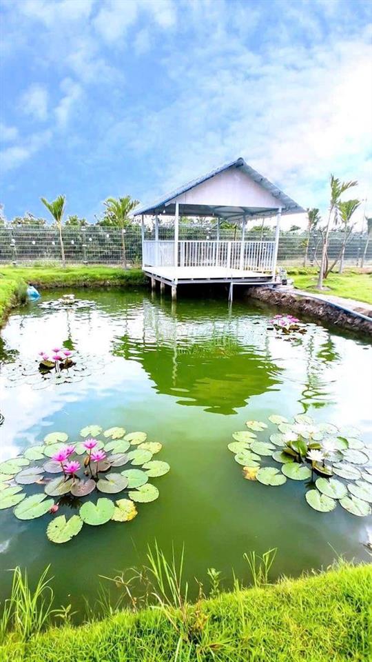 siêu phẩm, nhà vườn View Kênh góc 2 mặt tiền chỉ 2.5 tỷ