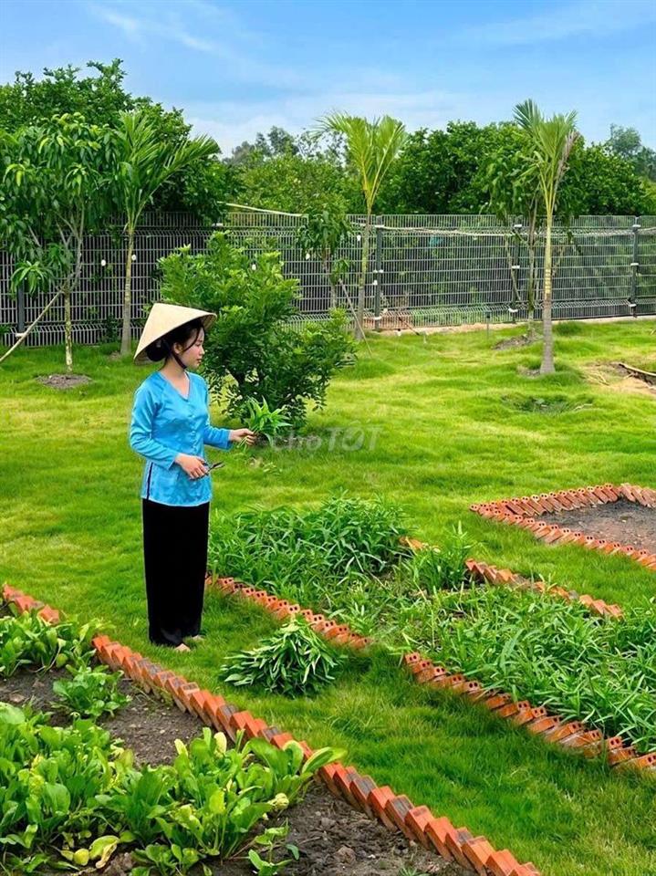 siêu phẩm, nhà vườn View Kênh góc 2 mặt tiền chỉ 2.5 tỷ