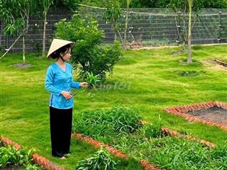 siêu phẩm, nhà vườn View Kênh góc 2 mặt tiền chỉ 2.5 tỷ