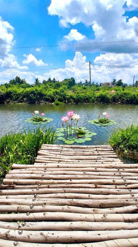 siêu phẩm, nhà vườn View Kênh góc 2 mặt tiền chỉ 2.5 tỷ