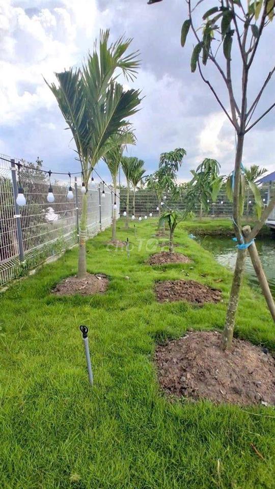 siêu phẩm, nhà vườn View Kênh góc 2 mặt tiền chỉ 2.5 tỷ