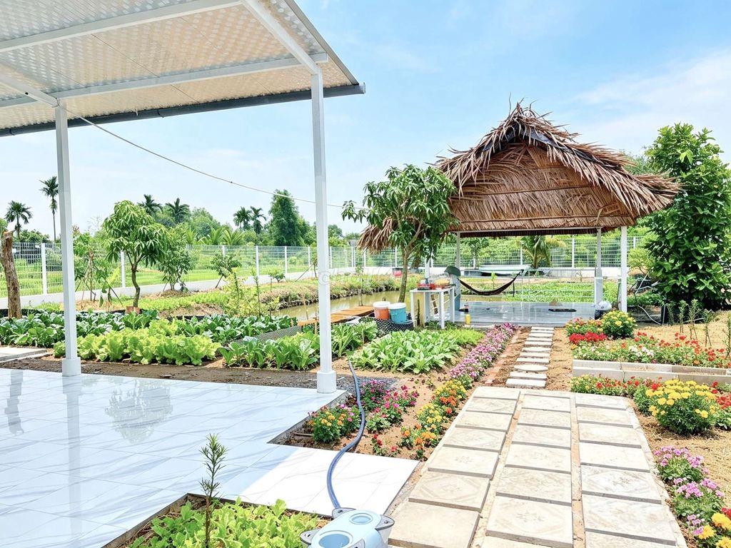 Quá đẹp, Nhà vườn 1068m2 đất fun thổ View Sông, chỉ 3.5 tỷ