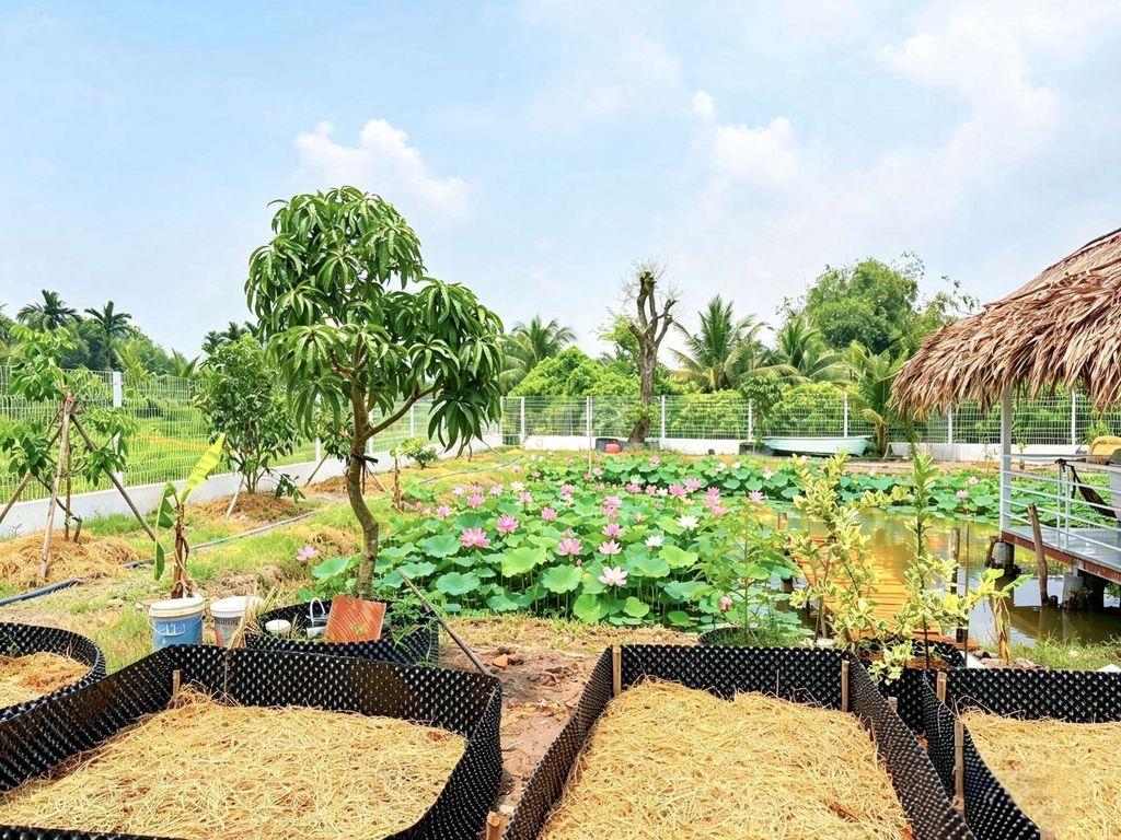 Quá đẹp, Nhà vườn 1068m2 đất fun thổ View Sông, chỉ 3.5 tỷ