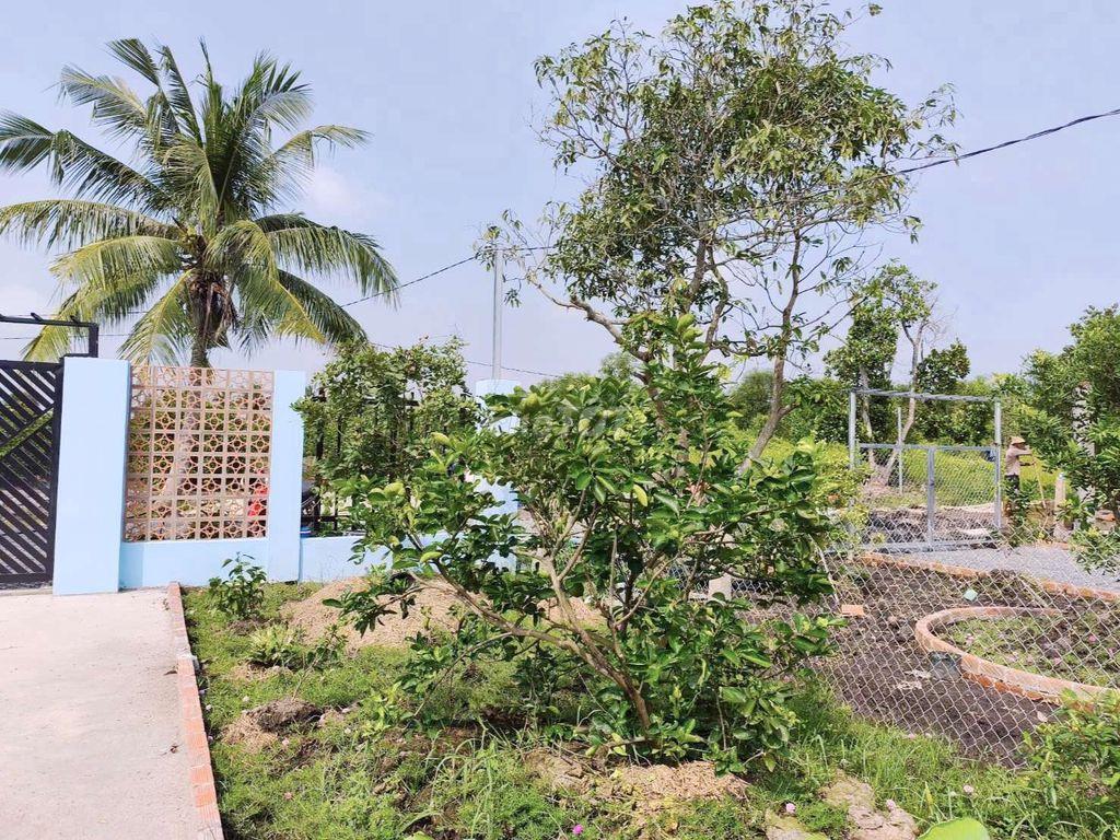 Nhà Vườn 500m2 View Kênh cực đẹp chỉ 950tr