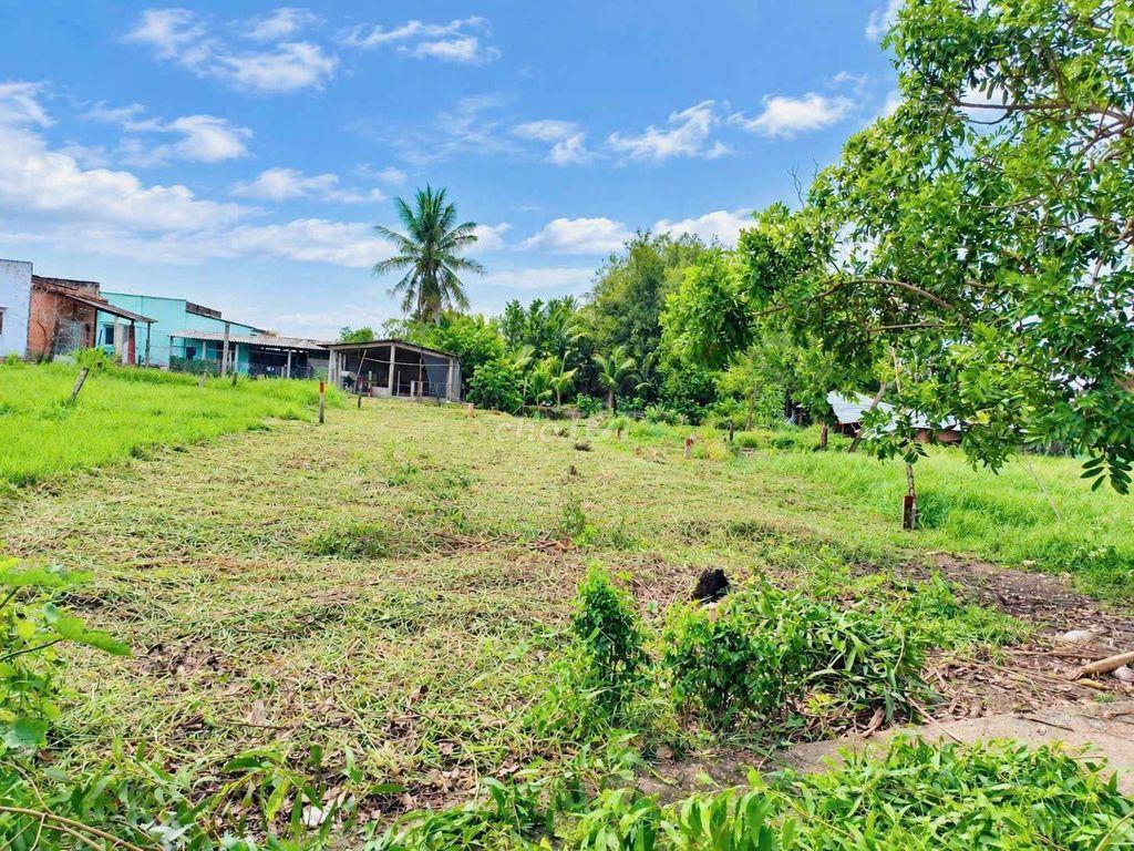 Hàng Vip, 376m2 đất full thổ cư 10x 37m chốt nhanh 500tr