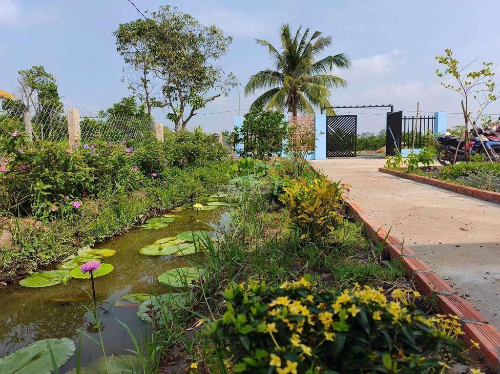 chỉ 490tr sở hữu mô hình vườn 540m2 đất view kênh