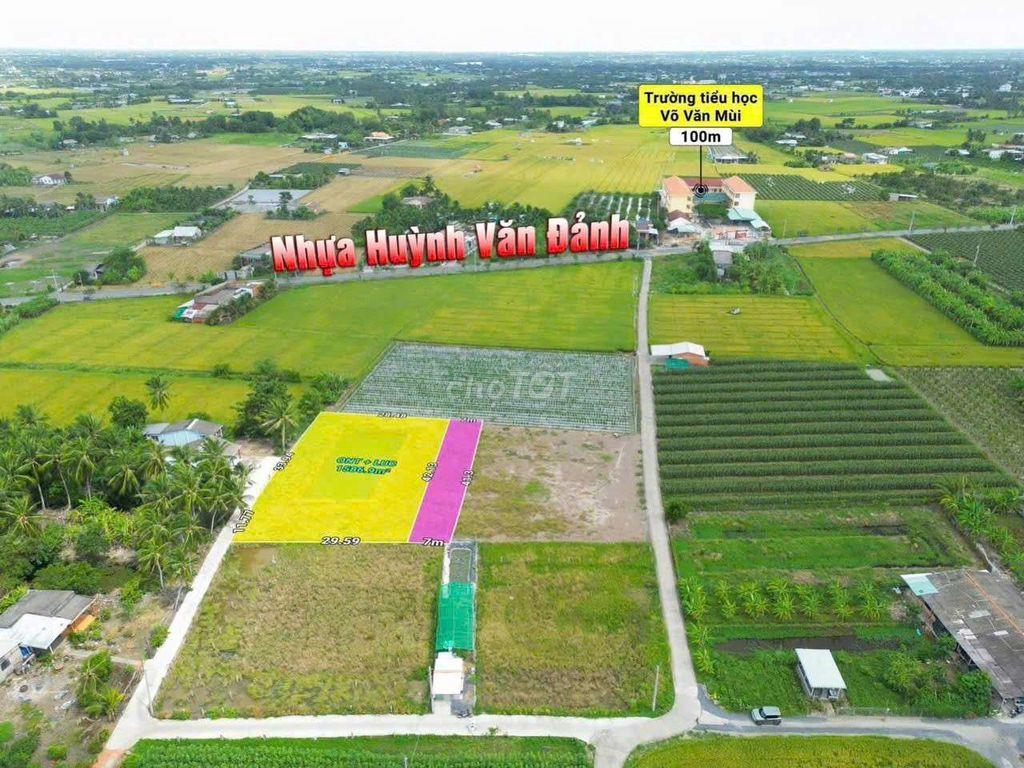 Đất siêu phẩm xây nhà vườn đối diện trường học Tân Trụ