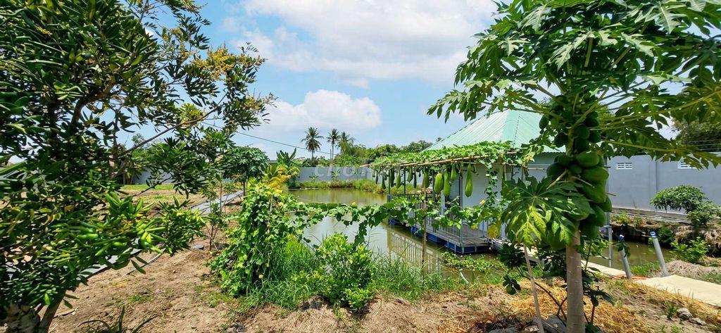 Siêu phẩm, nhà vườn 2473m2 có thổ cư view kênh cực đẹp